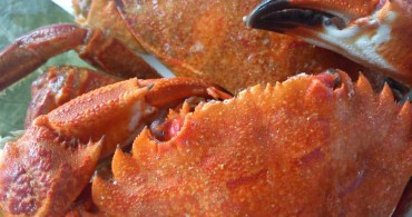 Receta_nécoras cocidas_gallinablanca