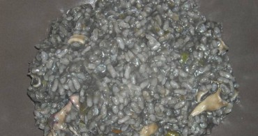 arroz con chipirones en su tinta