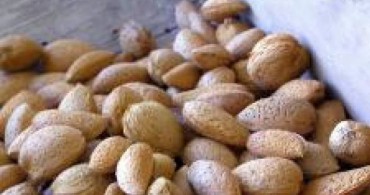 pavo en salsa de almendras