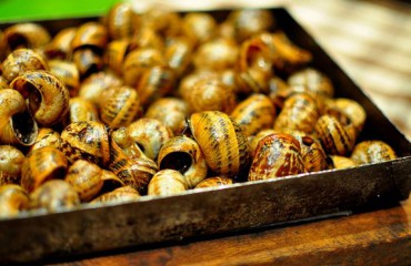 receta_gallinablanca_caracoles a la llauna